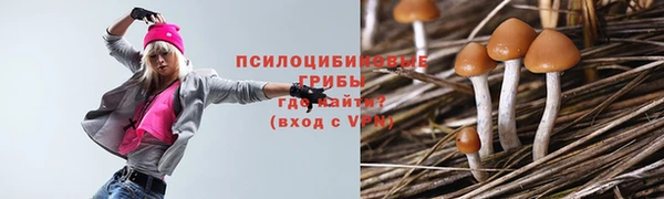 дурь Вяземский